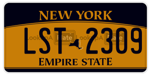 LST2309  license plate in NY
