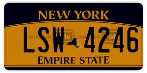LSW4246  license plate in NY