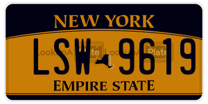 LSW9619 license plate in New York