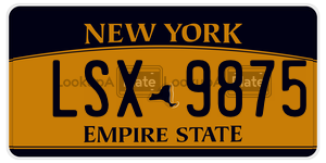 LSX9875  license plate in NY
