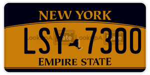 LSY7300  license plate in NY