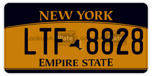 LTF8828 license plate in New York