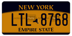 LTL8768  license plate in NY