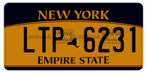 LTP6231  license plate in NY