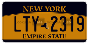 LTY2319  license plate in NY