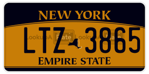 LTZ3865  license plate in NY