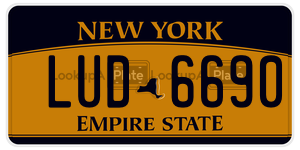LUD6690  license plate in NY