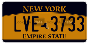 LVE3733  license plate in NY