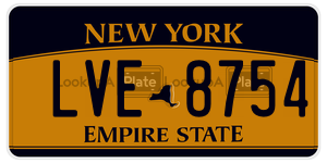LVE8754 license plate in New York