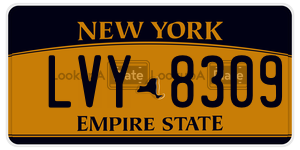 LVY8309  license plate in NY