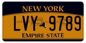 LVY9789  license plate in NY