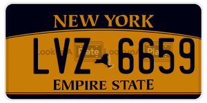 LVZ6659  license plate in NY