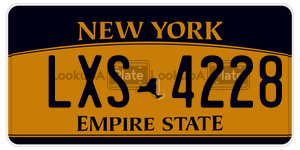 LXS4228  license plate in NY