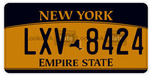 LXV8424  license plate in NY