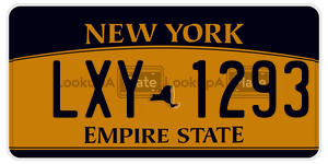 LXY1293  license plate in NY