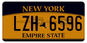 LZH6596  license plate in NY