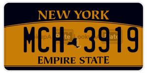 MCH3919  license plate in NY