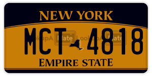 MCT4818  license plate in NY