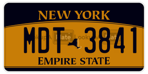 MDT3841  license plate in NY