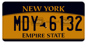 MDY6132  license plate in NY