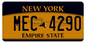 MEC4290  license plate in NY