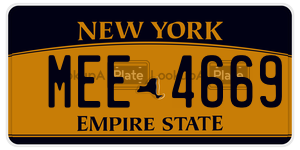 MEE4669  license plate in NY