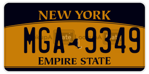 MGA9349  license plate in NY