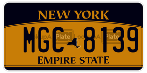 MGC8139  license plate in NY