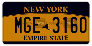 MGE3160  license plate in NY