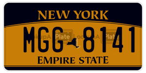 MGG8141  license plate in NY
