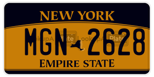 MGN2628  license plate in NY