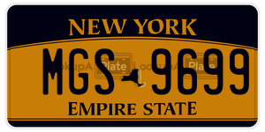 MGS9699  license plate in NY