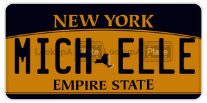 MICHELLE license plate in New York