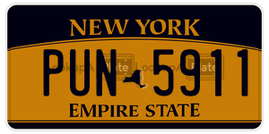 PUN5911  license plate in NY