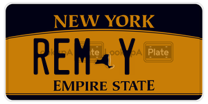 REMY  license plate in NY