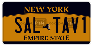 SALTAV1  license plate in NY