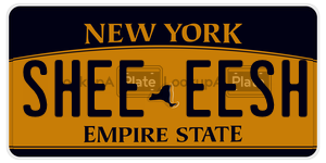 SHEEEESH  license plate in NY