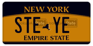 STEYE license plate in New York