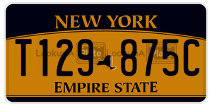 T129875C  license plate in NY