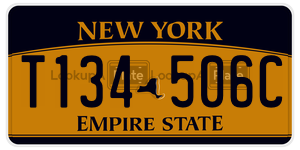 T134506C  license plate in NY