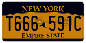 T666591C  license plate in NY