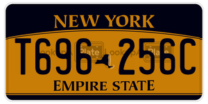 T696256C license plate in New York