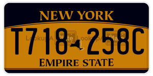T718258C  license plate in NY