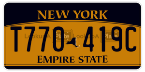 T770419C license plate in New York
