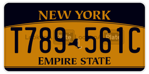 T789561C  license plate in NY
