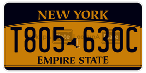 T805630C  license plate in NY