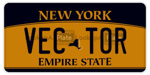 VECTOR  license plate in NY