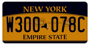 W300078C  license plate in NY