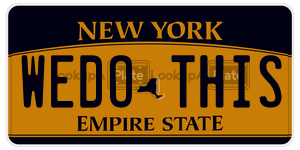 WEDOTHIS  license plate in NY