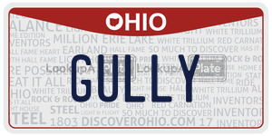 GULLY  license plate in OH